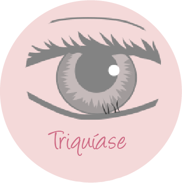 Triquase (clios tocando o globo ocular)
